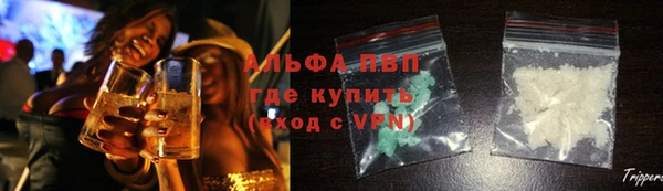стафф Горнозаводск
