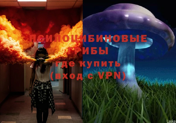 прущие крисы Сосновка