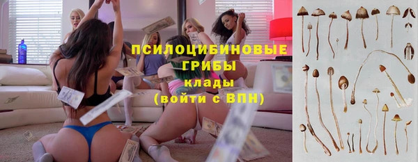 mdma Горняк