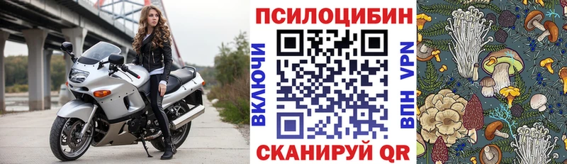 наркошоп  Данков  Галлюциногенные грибы ЛСД 