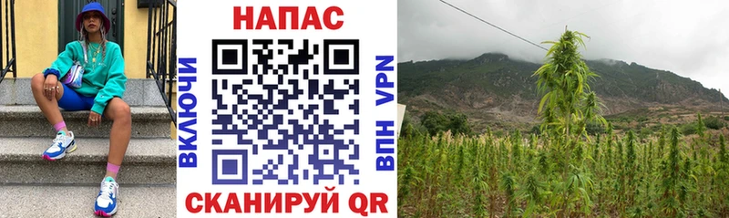 МАРИХУАНА Bruce Banner Данков